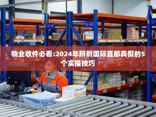 物业收件必看:2024年辨别国际直邮真假的5个实操技巧