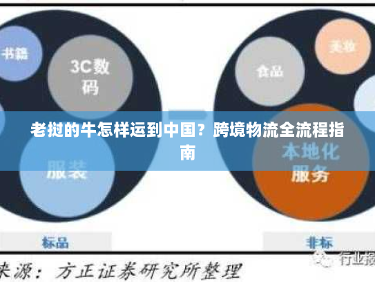 老挝的牛怎样运到中国?跨境物流全流程指南 老挝的牛怎样运到中国?跨境物流全流程指南