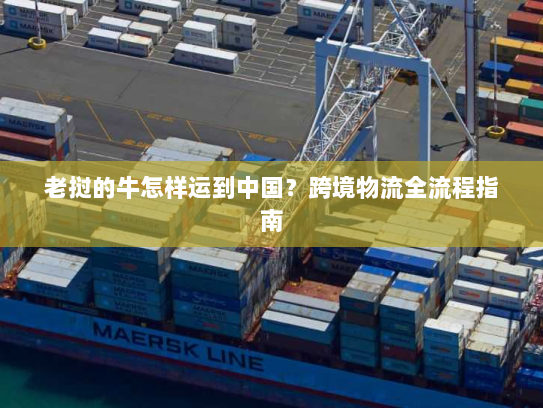 老挝的牛怎样运到中国?跨境物流全流程指南 老挝的牛怎样运到中国?跨境物流全流程指南