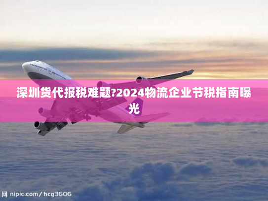 深圳货代报税难题?2024物流企业节税指南曝光 深圳货代报税难题?2024物流企业节税指南曝光