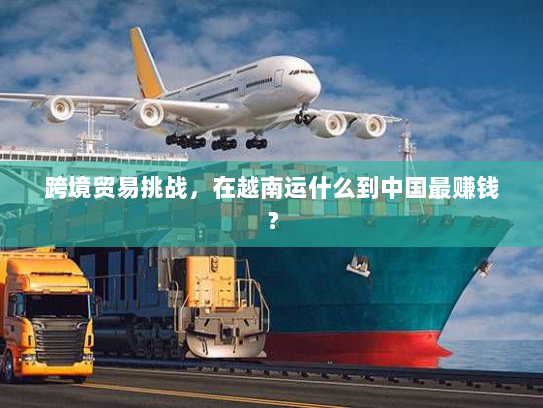 跨境贸易挑战，在越南运什么到中国最赚钱？