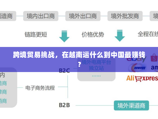 跨境贸易挑战，在越南运什么到中国最赚钱？