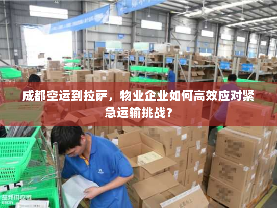 成都空运到拉萨,物业企业如何高效应对紧急运输挑战? 成都空运到拉萨,物业企业如何高效应对紧急运输挑战?