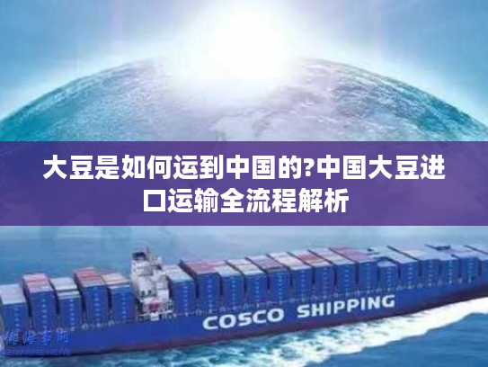 大豆是如何运到中国的?中国大豆进口运输全流程解析 大豆是如何运到中国的?中国大豆进口运输全流程解析