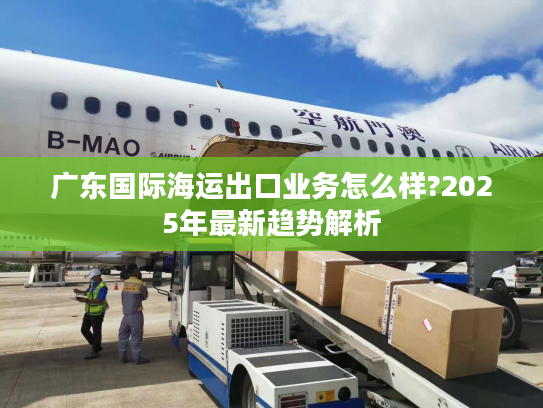 广东国际海运出口业务怎么样?2025年最新趋势解析 广东国际海运出口业务怎么样?2025年最新趋势解析