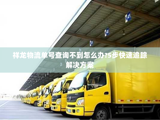 祥龙物流单号查询不到怎么办?5步快速追踪解决方案 祥龙物流单号查询不到怎么办?5步快速追踪解决方案