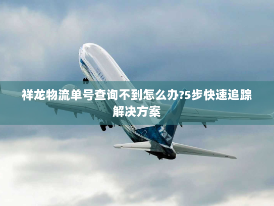 祥龙物流单号查询不到怎么办?5步快速追踪解决方案 祥龙物流单号查询不到怎么办?5步快速追踪解决方案
