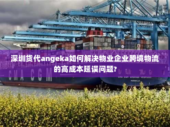 深圳货代angeka如何解决物业企业跨境物流的高成本延误问题? 深圳货代angeka如何解决物业企业跨境物流的高成本延误问题?