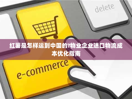 红薯是怎样运到中国的?物业企业进口物流成本优化指南 红薯是怎样运到中国的?物业企业进口物流成本优化指南