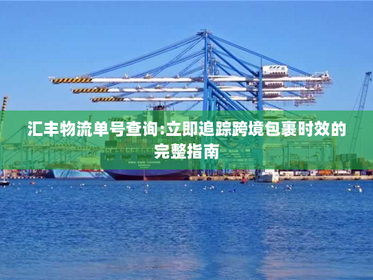 汇丰物流单号查询:立即追踪跨境包裹时效的完整指南