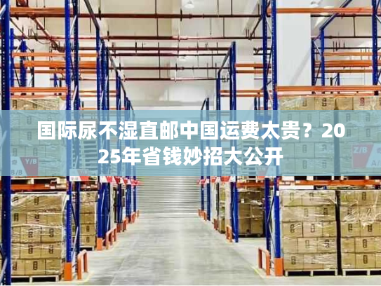 国际尿不湿直邮中国运费太贵?2025年省钱妙招大公开 国际尿不湿直邮中国运费太贵?2025年省钱妙招大公开