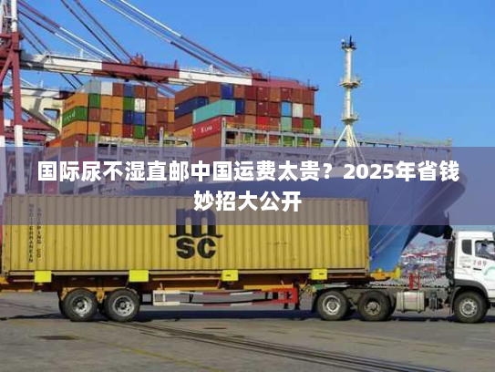 国际尿不湿直邮中国运费太贵？2025年省钱妙招大公开