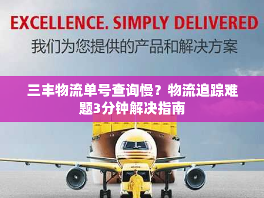 三丰物流单号查询慢？物流追踪难题3分钟解决指南
