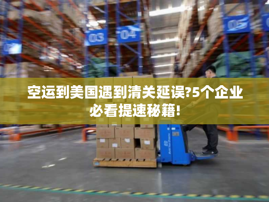 空运到美国遇到清关延误?5个企业必看提速秘籍! 空运到美国遇到清关延误?5个企业必看提速秘籍!