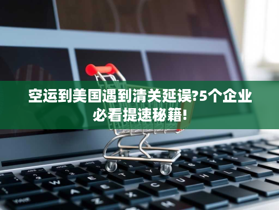 空运到美国遇到清关延误?5个企业必看提速秘籍! 空运到美国遇到清关延误?5个企业必看提速秘籍!