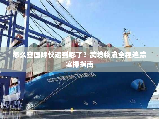 怎么查国际快递到哪了?跨境物流全程追踪实操指南 怎么查国际快递到哪了?跨境物流全程追踪实操指南