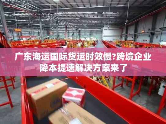 广东海运国际货运时效慢?跨境企业降本提速解决方案来了