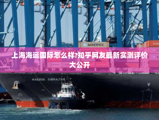 上海海运国际怎么样?知乎网友最新实测评价大公开 上海海运国际怎么样?知乎网友最新实测评价大公开