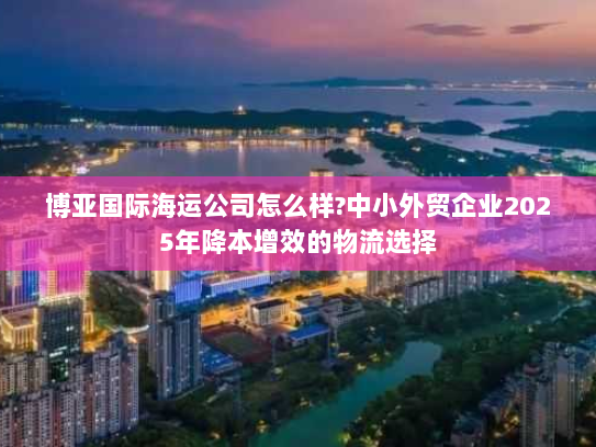 博亚国际海运公司怎么样?中小外贸企业2025年降本增效的物流选择 博亚国际海运公司怎么样?中小外贸企业2025年降本增效的物流选择