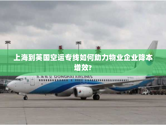 上海到英国空运专线如何助力物业企业降本增效?