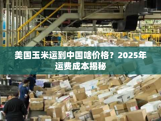 美国玉米运到中国啥价格？2025年运费成本揭秘