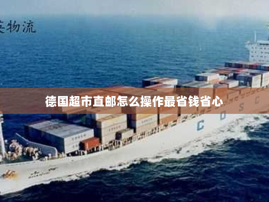 德国超市直邮怎么操作最省钱省心 德国超市直邮怎么操作最省钱省心