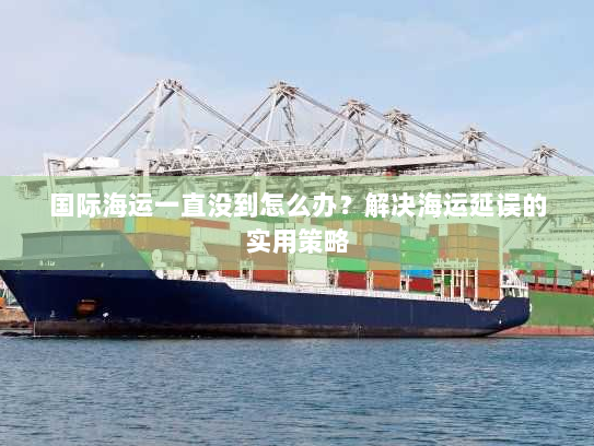 国际海运一直没到怎么办？解决海运延误的实用策略