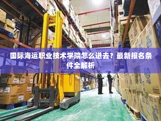 国际海运职业技术学院怎么进去?最新报名条件全解析 国际海运职业技术学院怎么进去?最新报名条件全解析