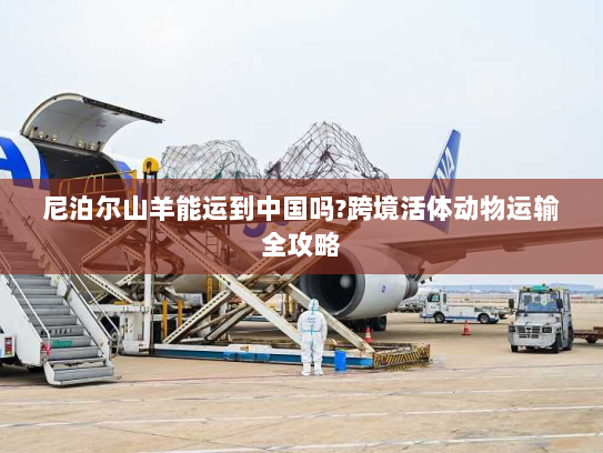 尼泊尔山羊能运到中国吗?跨境活体动物运输全攻略 尼泊尔山羊能运到中国吗?跨境活体动物运输全攻略