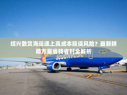 绍兴散货海运遇上高成本延误风险？最新拼箱方案省钱省时全解析