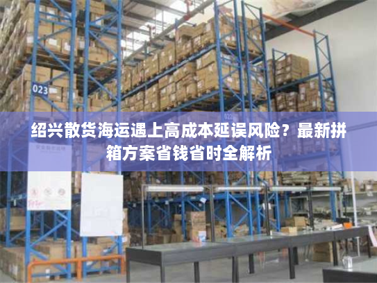绍兴散货海运遇上高成本延误风险？最新拼箱方案省钱省时全解析