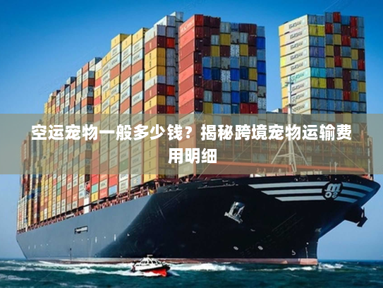 空运宠物一般多少钱?揭秘跨境宠物运输费用明细 空运宠物一般多少钱?揭秘跨境宠物运输费用明细