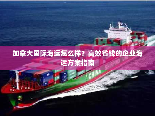 加拿大国际海运怎么样?高效省钱的企业海运方案指南 加拿大国际海运怎么样?高效省钱的企业海运方案指南