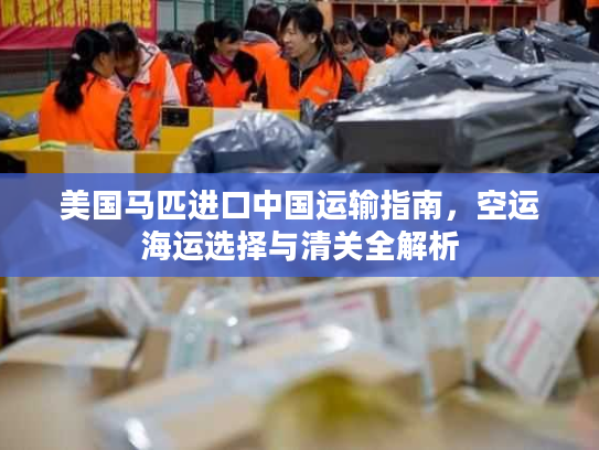 美国马匹进口中国运输指南，空运海运选择与清关全解析