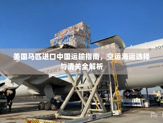 美国马匹进口中国运输指南,空运海运选择与清关全解析 美国马匹进口中国运输指南,空运海运选择与清关全解析