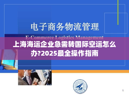 上海海运企业急需转国际空运怎么办?2025最全操作指南