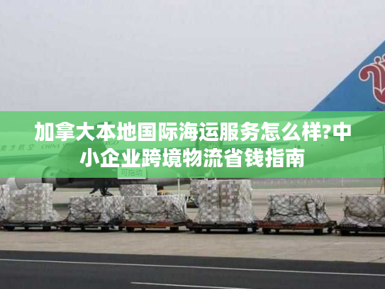 加拿大本地国际海运服务怎么样?中小企业跨境物流省钱指南