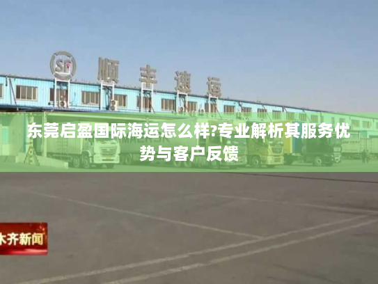 东莞启盈国际海运怎么样?专业解析其服务优势与客户反馈 东莞启盈国际海运怎么样?专业解析其服务优势与客户反馈