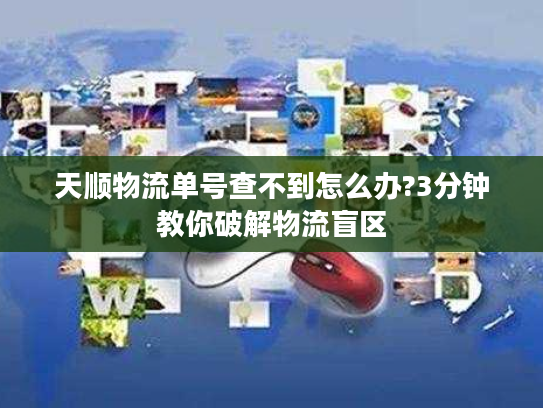 天顺物流单号查不到怎么办?3分钟教你破解物流盲区
