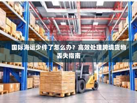 国际海运少件了怎么办？高效处理跨境货物丢失指南