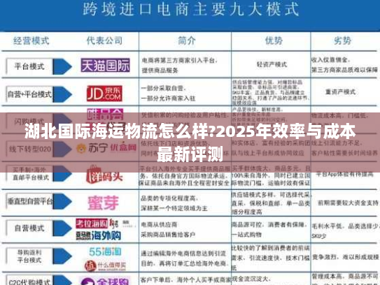 湖北国际海运物流怎么样?2025年效率与成本最新评测