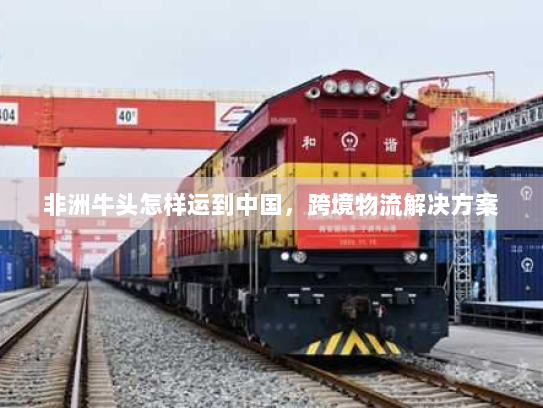 非洲牛头怎样运到中国,跨境物流解决方案 非洲牛头怎样运到中国,跨境物流解决方案