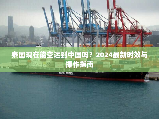泰国现在能空运到中国吗?2024最新时效与操作指南 泰国现在能空运到中国吗?2024最新时效与操作指南