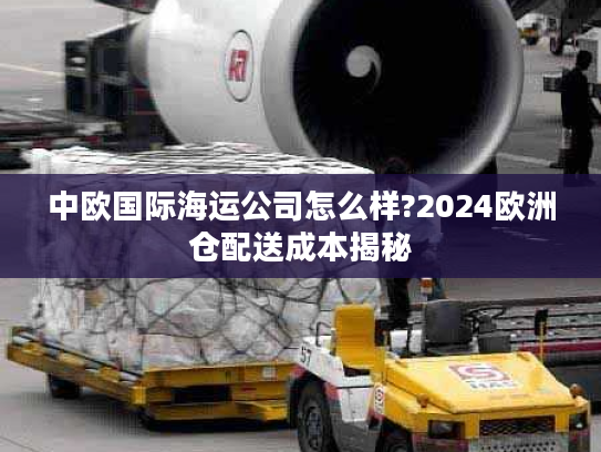 中欧国际海运公司怎么样?2024欧洲仓配送成本揭秘