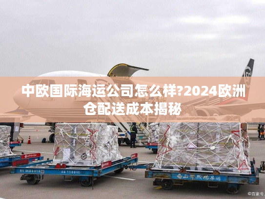 中欧国际海运公司怎么样?2024欧洲仓配送成本揭秘