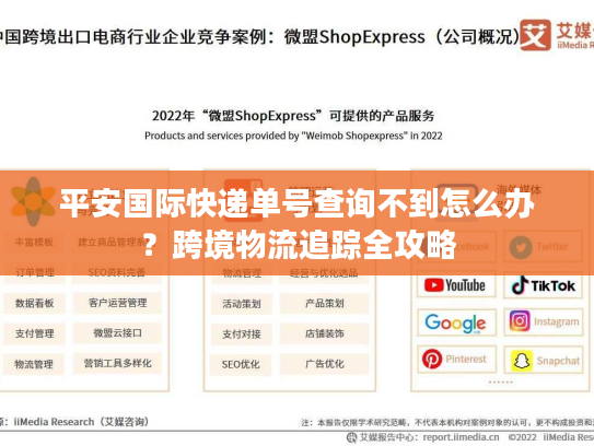 平安国际快递单号查询不到怎么办？跨境物流追踪全攻略