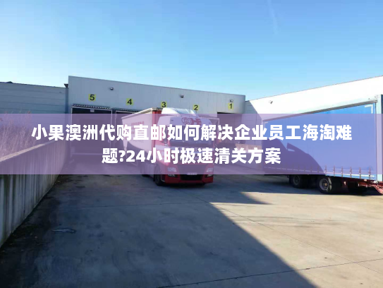 小果澳洲代购直邮如何解决企业员工海淘难题?24小时极速清关方案 小果澳洲代购直邮如何解决企业员工海淘难题?24小时极速清关方案