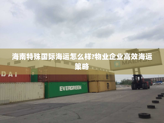 海南特殊国际海运怎么样?物业企业高效海运策略 海南特殊国际海运怎么样?物业企业高效海运策略