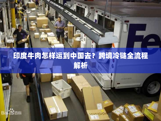 印度牛肉怎样运到中国去?跨境冷链全流程解析 印度牛肉怎样运到中国去?跨境冷链全流程解析