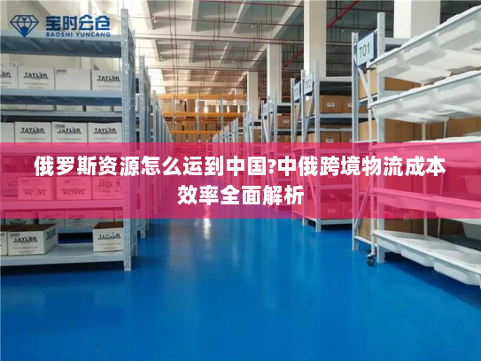 俄罗斯资源怎么运到中国?中俄跨境物流成本效率全面解析